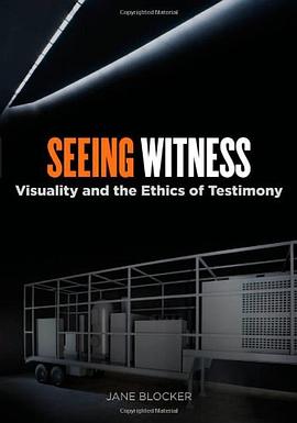 Seeing Witness pdf epub mobi 电子书 下载