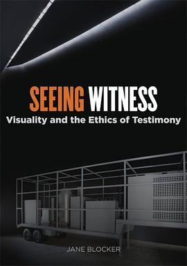 Seeing Witness pdf epub mobi 电子书 下载