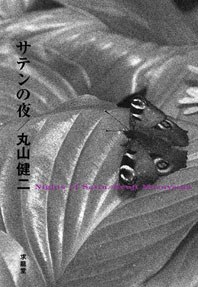 サテンの夜 pdf epub mobi 电子书 下载