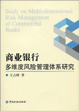 商业银行多维度风险管理体系研究 pdf epub mobi 电子书 下载