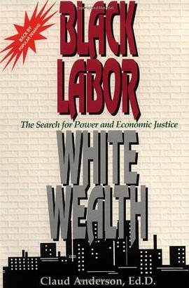 Black Labor, White Wealth pdf epub mobi 电子书 下载