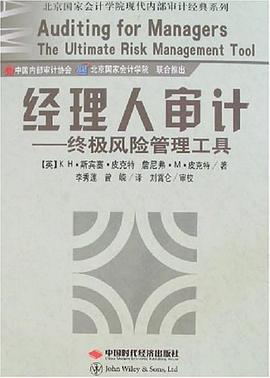 经理人审计-终极风险管理工具 pdf epub mobi 电子书 下载