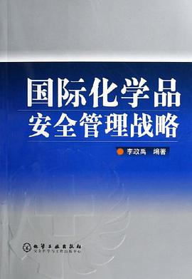 国际化学品安全管理战略 pdf epub mobi 下载