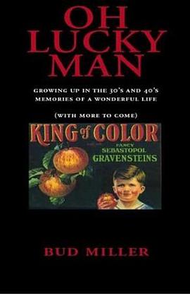 Oh Lucky Man pdf epub mobi 电子书 下载