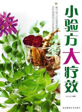 小验方大疗效 pdf epub mobi 电子书 下载