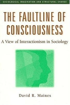 The Faultline of Consciousness pdf epub mobi 电子书 下载