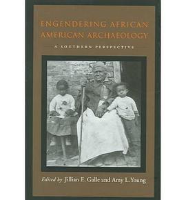 Engendering African American Archaeology pdf epub mobi 电子书 下载