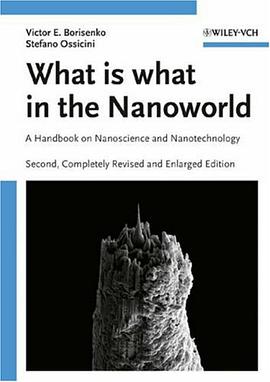 What is What in the Nanoworld pdf epub mobi 电子书 下载