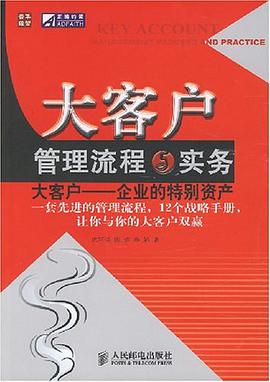 大客户管理流程与实务 pdf epub mobi 电子书 下载