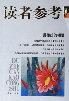 曼德拉的顿悟 pdf epub mobi 电子书 下载