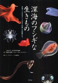深海のフシギな生きもの 水深11000メートルまでの美しき魔物たち