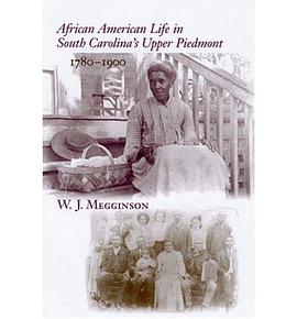African American Life in South Carolina's Upper Piedmont, 1780-1900 pdf epub mobi 电子书 下载