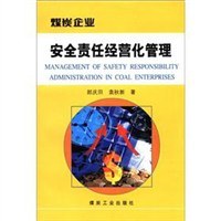 煤炭企业安全责任经营化管理 pdf epub mobi 电子书 下载