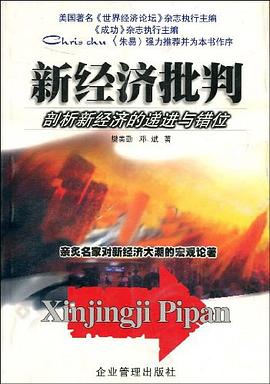 新经济批判――剖析新经济的递进与错位
