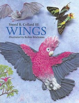 Wings pdf epub mobi 电子书 下载