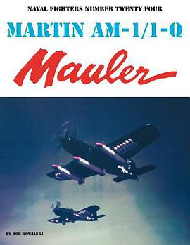 Martin Am-1 - IQ Mauler pdf epub mobi 电子书 下载