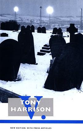 V. pdf epub mobi 电子书 下载