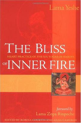 The Bliss of Inner Fire pdf epub mobi 電子書 下載