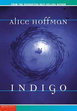 Indigo pdf epub mobi 电子书 下载