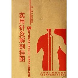 实用针灸解剖挂图 pdf epub mobi 电子书 下载