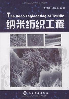 纳米纺织工程 pdf epub mobi 电子书 下载