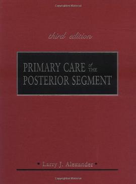 Primary Care of the Posterior Segment pdf epub mobi 电子书 下载