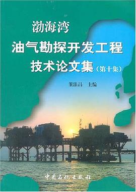 渤海湾油气勘探开发工程技术论文集 pdf epub mobi 电子书 下载
