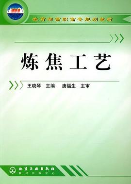 炼焦工艺 pdf epub mobi 电子书 下载