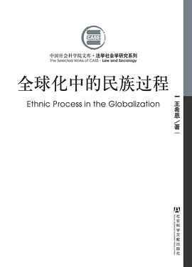 全球化中的民族过程 pdf epub mobi 电子书 下载