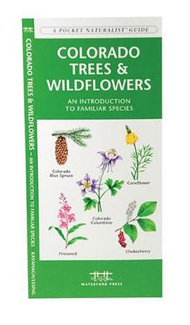 Colorado Trees & Wildflowers pdf epub mobi 电子书 下载