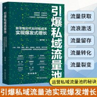 引爆私域流量池：新零售时代如何低成本实现爆发式增长 pdf epub mobi 电子书 下载