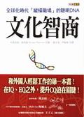 文化智商：全球化時代縱橫職場的聰明DNA Cultural Intelligence pdf epub mobi 电子书 下载