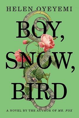 Boy, Snow, Bird pdf epub mobi 电子书 下载