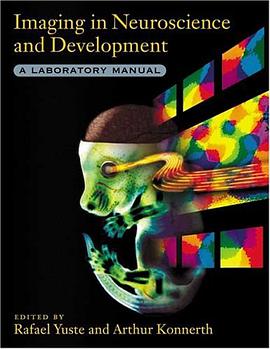 Imaging in Neuroscience and Development pdf epub mobi 电子书 下载
