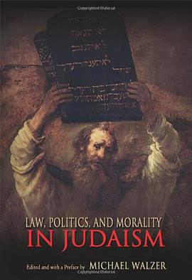 Law, Politics, and Morality in Judaism pdf epub mobi 电子书 下载