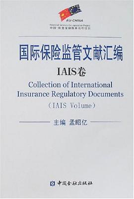 国际保险监管文献汇编（IAIS卷） pdf epub mobi 电子书 下载