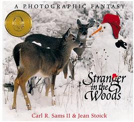 Stranger in the Woods pdf epub mobi 电子书 下载
