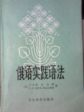 俄语实践语法 pdf epub mobi 电子书 下载