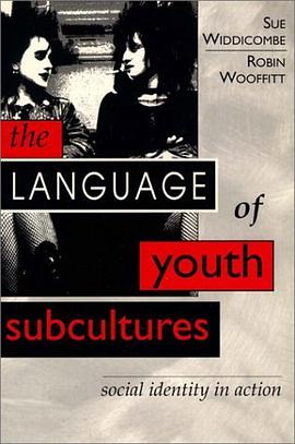 Language of Youth Subcultures, The pdf epub mobi 电子书 下载