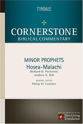 Minor Prophets pdf epub mobi 电子书 下载