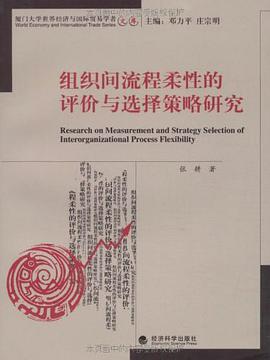 组织间流程柔性的评价与选择策略研究 pdf epub mobi 电子书 下载