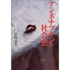 アンネナプキンの社会史 pdf epub mobi 电子书 下载
