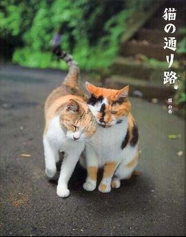 猫の通り路