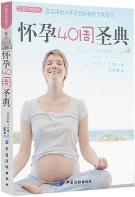 怀孕40周圣典 pdf epub mobi 电子书 下载