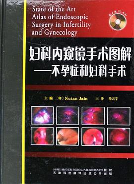 妇科内窥镜手术图解 pdf epub mobi 电子书 下载
