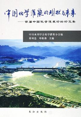 中国化学灌浆的现状与未来 pdf epub mobi 电子书 下载
