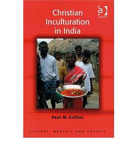 Christian Inculturation in India pdf epub mobi 下载