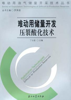 难动用储量开发压裂酸化技术 pdf epub mobi 电子书 下载