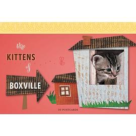 Kittens of Boxville Postcard Book