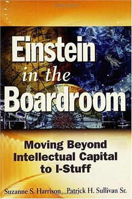 Einstein in the Boardroom pdf epub mobi 电子书 下载